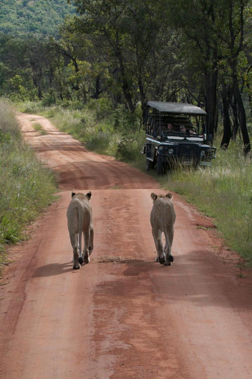 Inzalo Safari Lodge Welgevonden Game Reserve Exterior foto