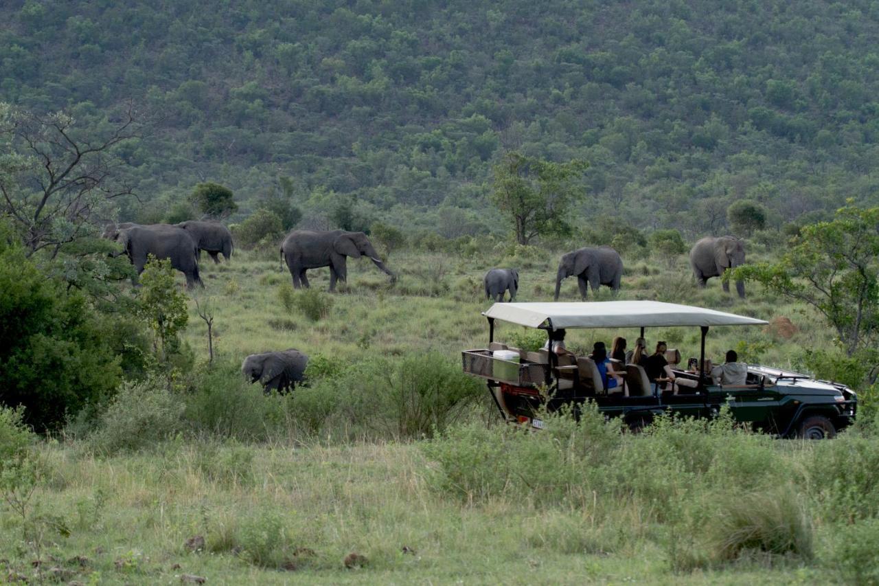 Inzalo Safari Lodge Welgevonden Game Reserve Exterior foto