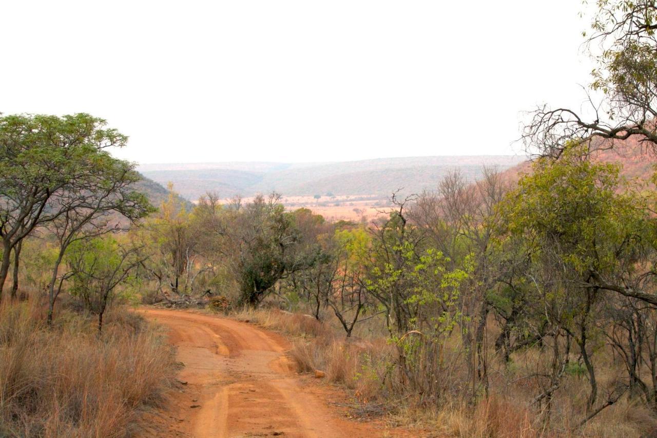 Inzalo Safari Lodge Welgevonden Game Reserve Exterior foto