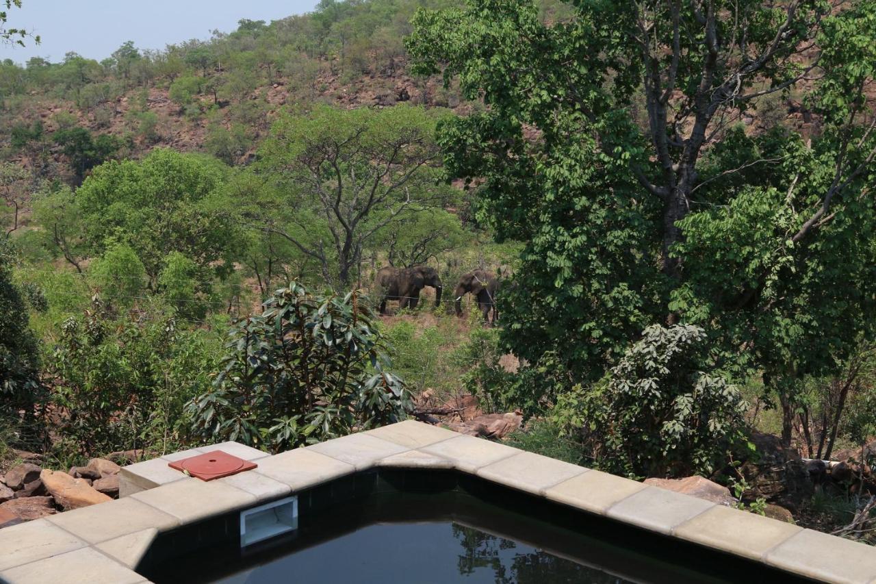 Inzalo Safari Lodge Welgevonden Game Reserve Exterior foto