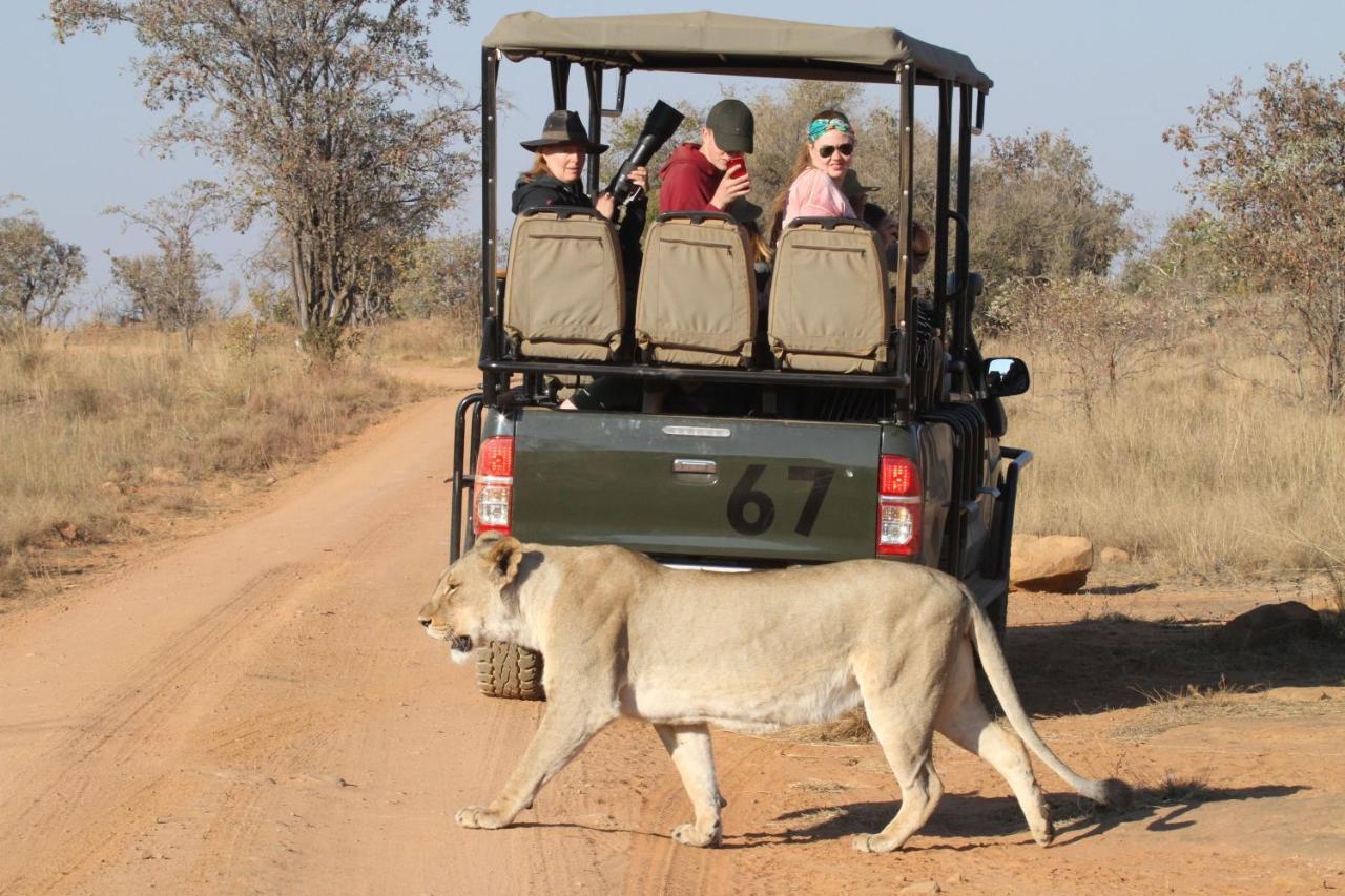 Inzalo Safari Lodge Welgevonden Game Reserve Exterior foto
