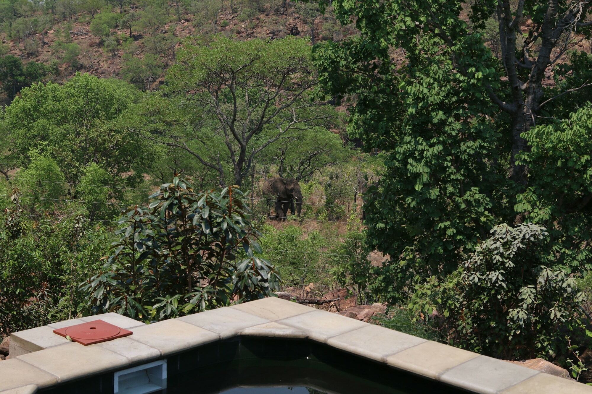 Inzalo Safari Lodge Welgevonden Game Reserve Exterior foto
